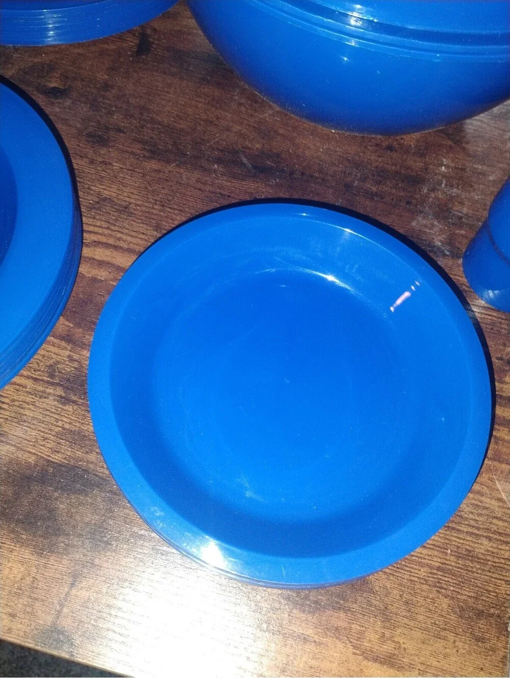 Vintage Blue Plastic Picnic Dinnerware Set with Carrying Case